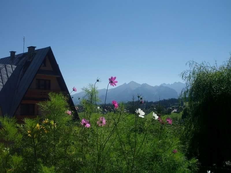 Agrotatry U Stachy Villa Буковина Татжанска Екстериор снимка