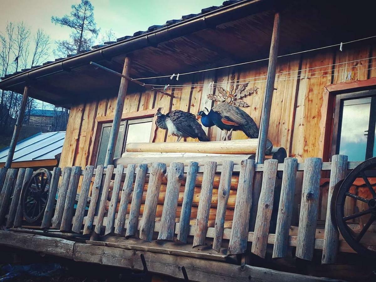 Agrotatry U Stachy Villa Буковина Татжанска Екстериор снимка
